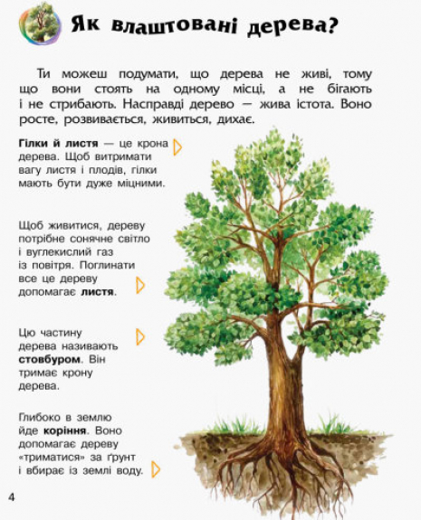 Энциклопедия дошкольника. Лес(у)