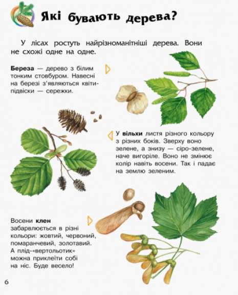 Энциклопедия дошкольника. Лес(у)