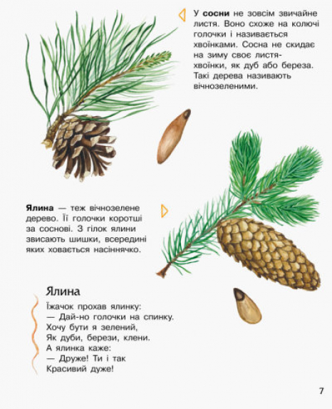 Энциклопедия дошкольника. Лес(у)