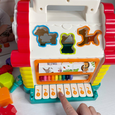 Сортер дитячий інтерактивний Будиночок, 9196