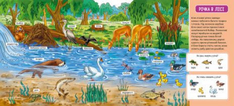 Мій перший словничок : У лісі (укр) А116032У Ранок