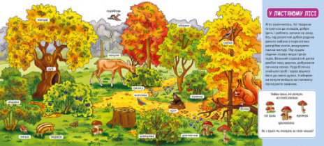 Мій перший словничок : У лісі (укр) А116032У Ранок