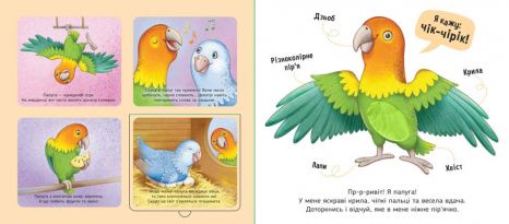 Книга-картонка. Познакомься и погладь : Мои любимцы (укр) А1455002У Ранок