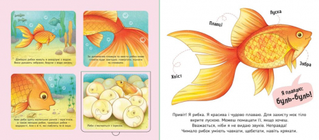 Книга-картонка. Познакомься и погладь : Мои любимцы (укр) А1455002У Ранок