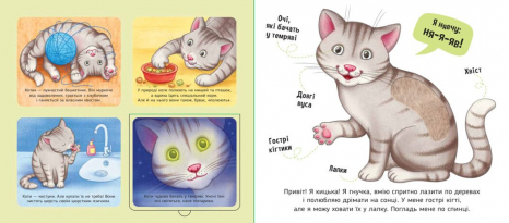 Книга-картонка. Познакомься и погладь : Мои любимцы (укр) А1455002У Ранок