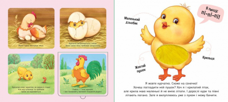 Книга - картонка з віконцями.. Познайомся і погладь: На фермі (укр) А1455004У Ранок