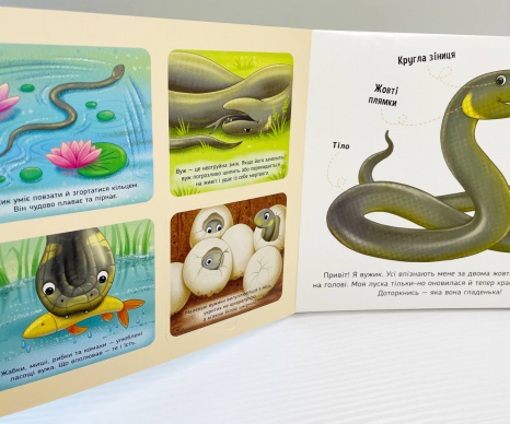 Тактильная картонная книга с окошками Познакомься и погладь : Лесные животные А1455006У