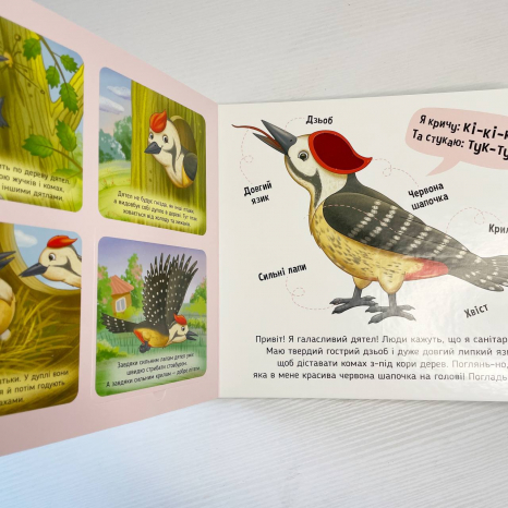 Тактильная картонная книга с окошками Познакомься и погладь : Лесные животные А1455006У