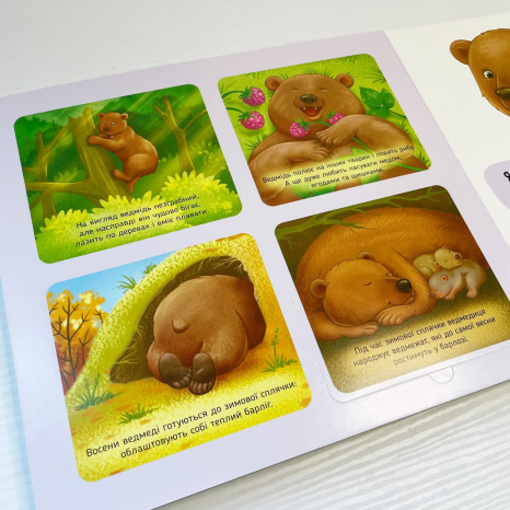 Тактильная картонная книга с окошками Познакомься и погладь : Лесные животные А1455006У