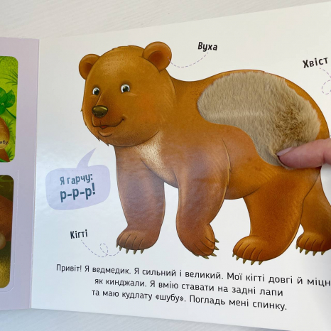 Тактильная картонная книга с окошками Познакомься и погладь : Лесные животные А1455006У