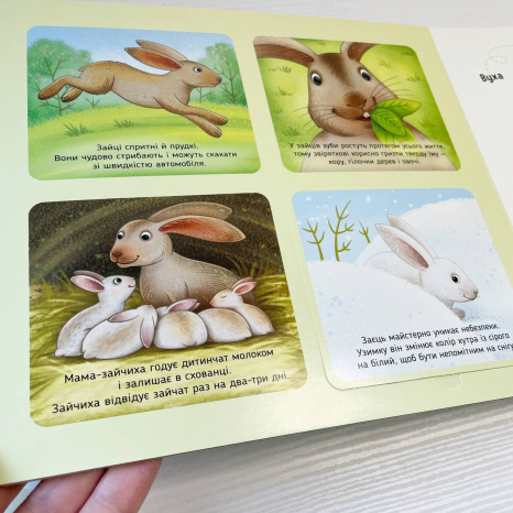 Тактильная картонная книга с окошками Познакомься и погладь : Лесные животные А1455006У