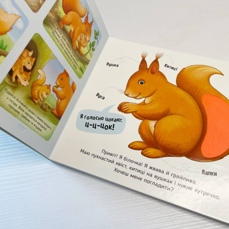 Тактильная картонная книга с окошками Познакомься и погладь : Лесные животные А1455006У