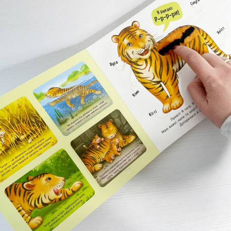 Тактильная книга-картонка Познакомься и погладь : Животные мира А1455008У