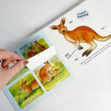 Тактильная книга-картонка Познакомься и погладь : Животные мира А1455008У