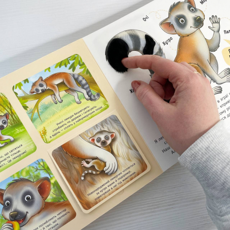 Тактильная книга-картонка Познакомься и погладь : Животные мира А1455008У