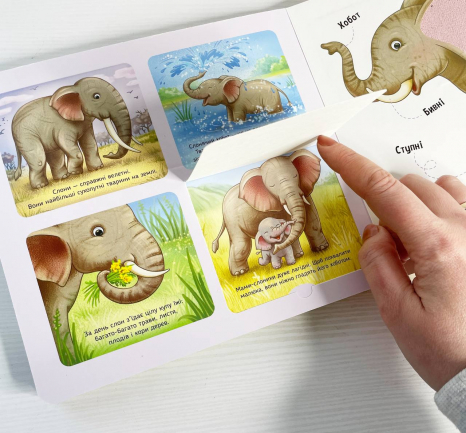 Тактильная книга-картонка Познакомься и погладь : Животные мира А1455008У