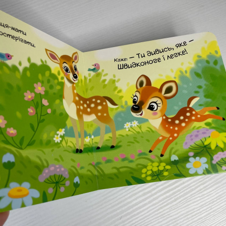 Книга-картонка Мій любий малюк : Моє любе вовченя А1707008У