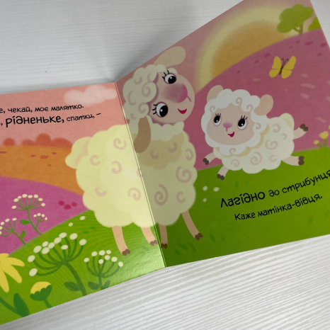 Книга-картонка Мій любий малюк : Моє любе кошеня А1707017У