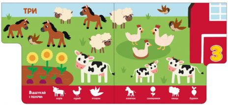 Книга-картона. Знайди-но мене! Цифри. Ранок