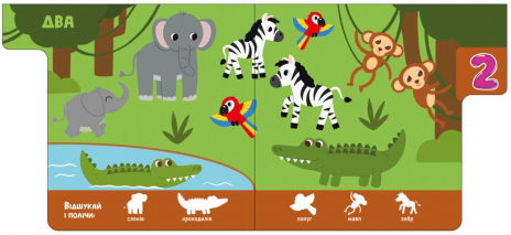 Книга-картона. Знайди-но мене! Цифри. Ранок