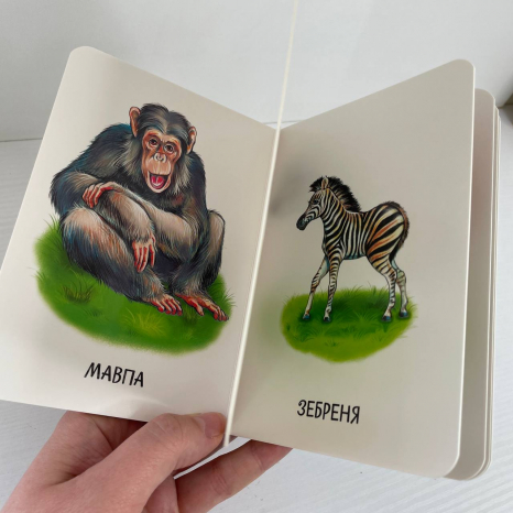 Книга картонка. Мами і дитинчата А2116001У Ранок