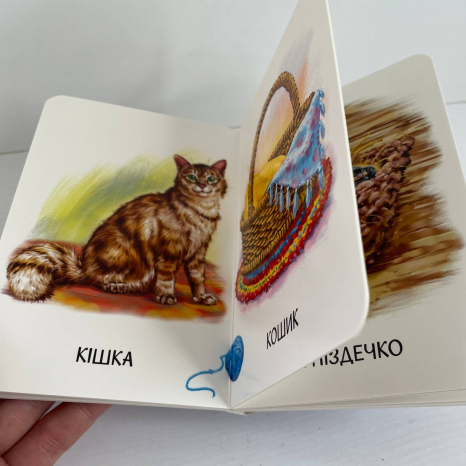 Книга картонка 22 картинки : Хто живе у будиночку