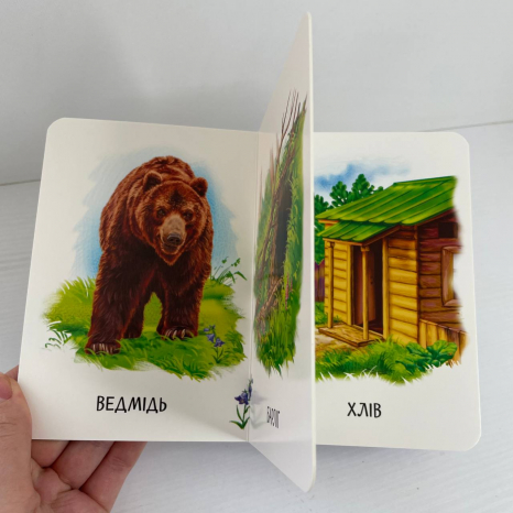 Книга картонка 22 картинки : Хто живе у будиночку