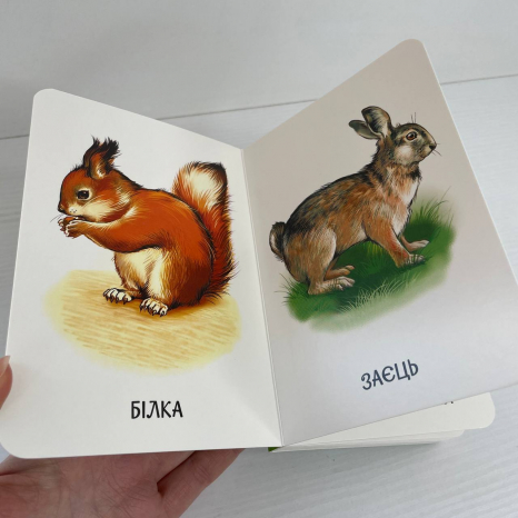 Книга картонка 22 картинки : Улюблені тварини