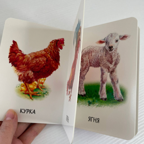 Книга картонка 22 картинки : Свійські тварини