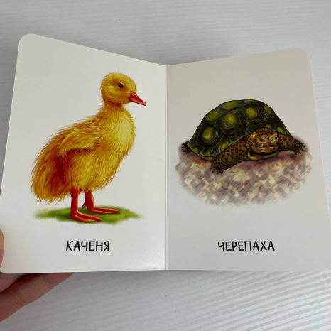 Книга картонка 22 картинки : Свійські тварини