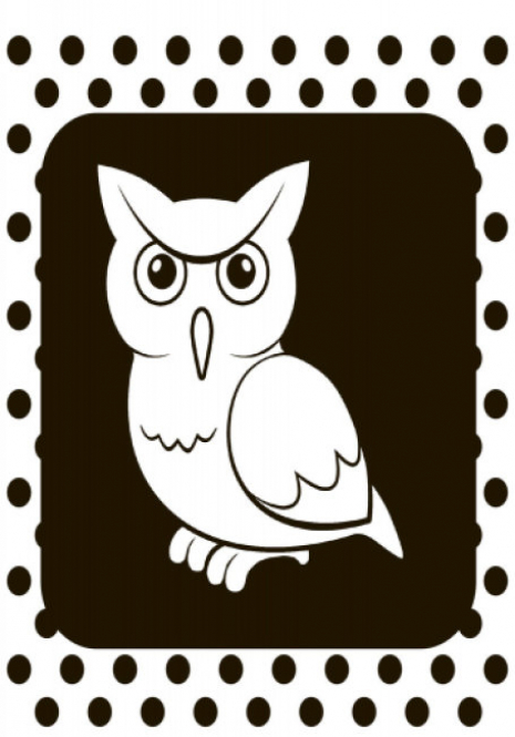 Контрастная книжка для новородженных : Ути-пути (укр) А755006У