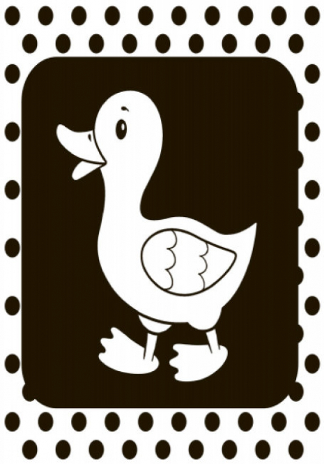 Контрастна книжка для немовляти : Бу-бусики (укр) А755007У