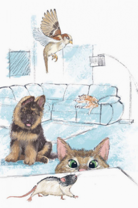 Кумедні оповідання: П'ять моїх тварин (у) Ранок. А894006У