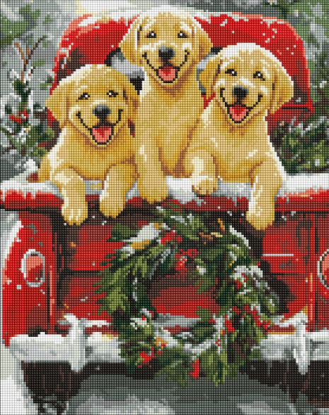 Алмазна мозаїка Собача поїздка, 40х50см, AMO20006, Ideyka