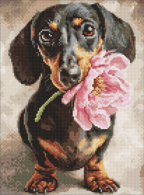 Набір з алмазною мозаїкою "Песик і сюрприз" 30х40см, Ідейка AMO20219