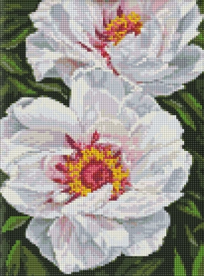 Алмазна мозаїка "Білі півонії" Ідейка AMO7753 30х40 см