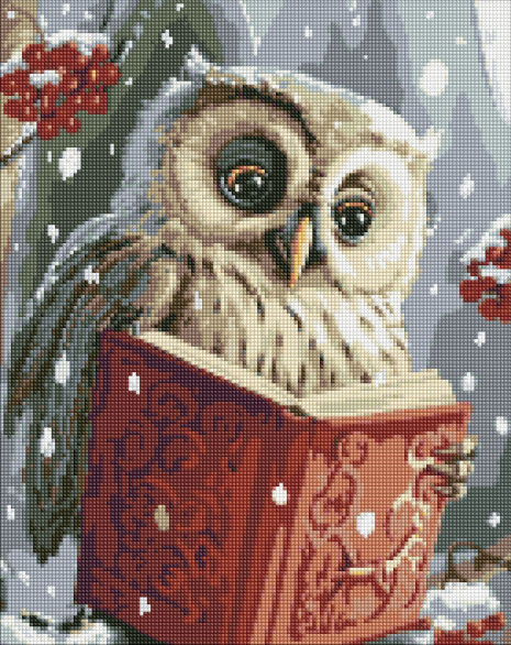 Алмазна мозаїка Розумна совушка з АВ стразами, 40х50см, AMO7816, Ideyka