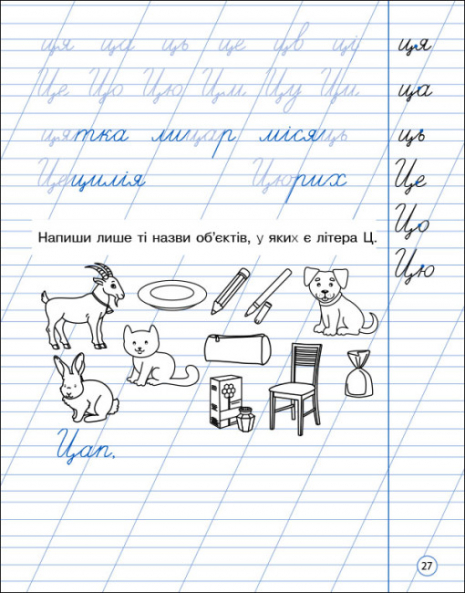 Тренувальний зошит : Охайне письмо (укр) АРТ19705У