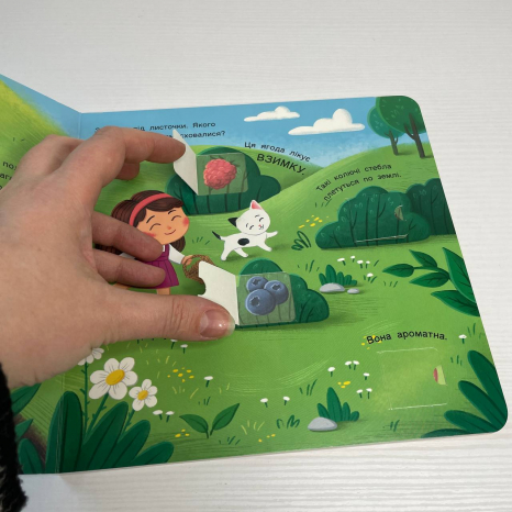 Книжка картонка з віконцями для малечі : Якого кольору? АРТ21509У