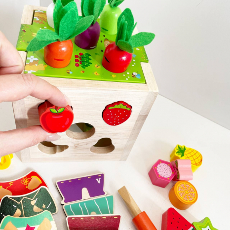 Логічний дерев’яний куб сортер, рухомі шестерні, магнітна гра, пазл-вкладиш, грядка з морквою C 68280