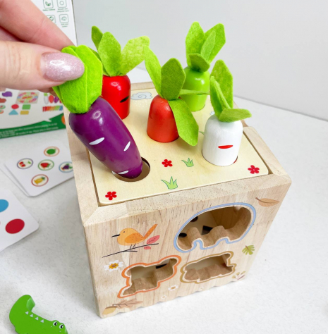 Дерев'яний бізікуб: куб - сортер 8 в 1 (стукалка, магнітна риболовля, моркви, тварини) C 15048