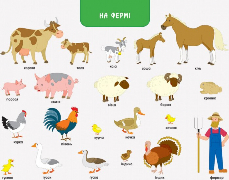 Дитячий картонний вімельбух Ура, ми заговорили! Хто і де? ДШ12902У Ранок