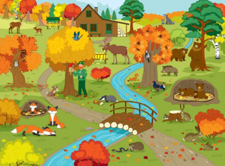 Дитячий картонний вімельбух Ура, ми заговорили! Хто і де? ДШ12902У Ранок