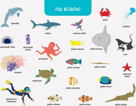 Дитячий картонний вімельбух Ура, ми заговорили! Хто і де? ДШ12902У Ранок