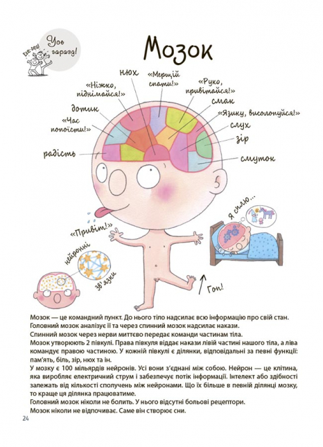 Дитяча література. Для турботливих батьків. Як улаштоване моє тіло : книжка для дітей 4MAMAS ДТБ110