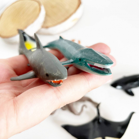 Набір тварини (фігурки тварин) морські мешканці E095-3 12 шт в наборі