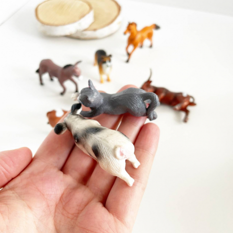 Набір тварини домашні (фігурки тварин) E095-4  8 шт в наборі