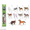 Набір тварини домашні (фігурки тварин) E095-4  8 шт в наборі