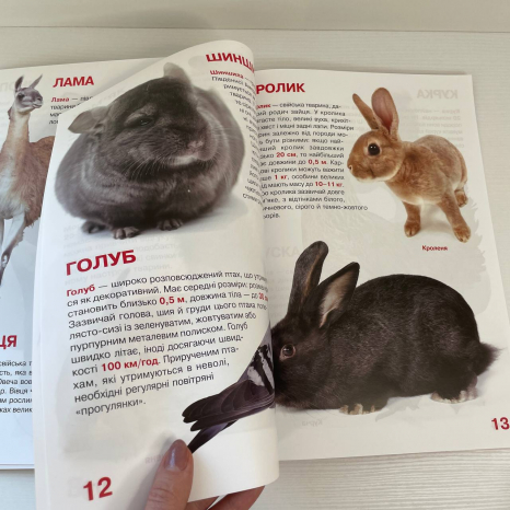 Книга "Велика книжка. Свійські тварини"