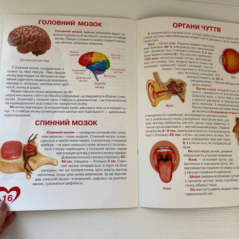Велика книжка. Анатомія людини (укр)